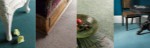 carpet4